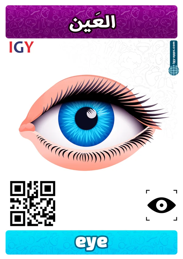 Eye — عين