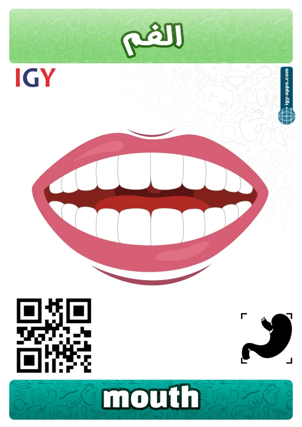 Mouth — فم