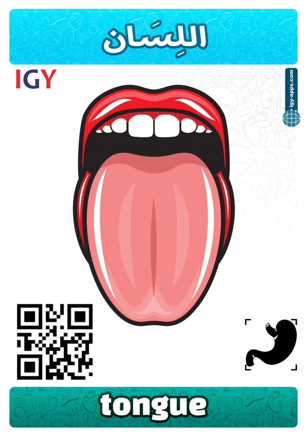 Tongue — لسان