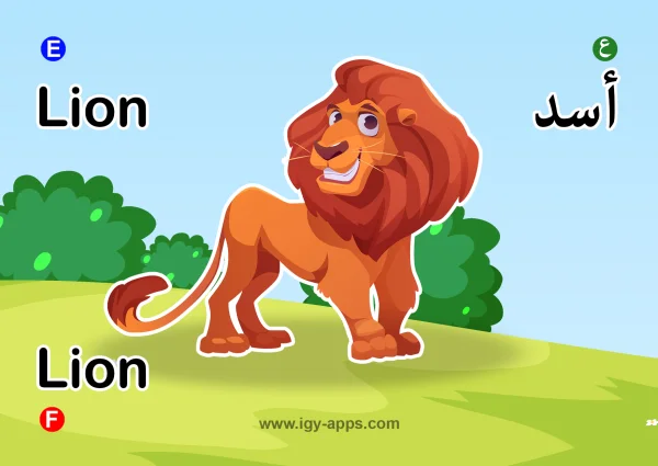 Lion — أسد