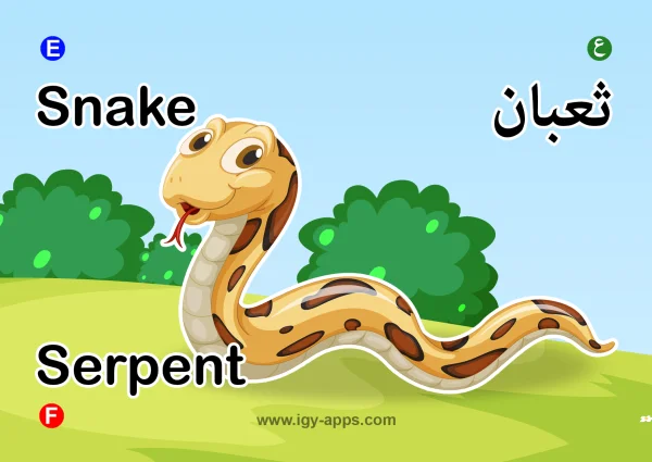 Snake — ثعبان