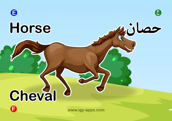 Horse — حصان