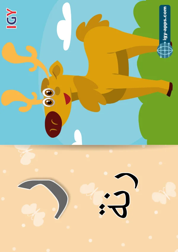 Reindeer — رنة — Letter ر