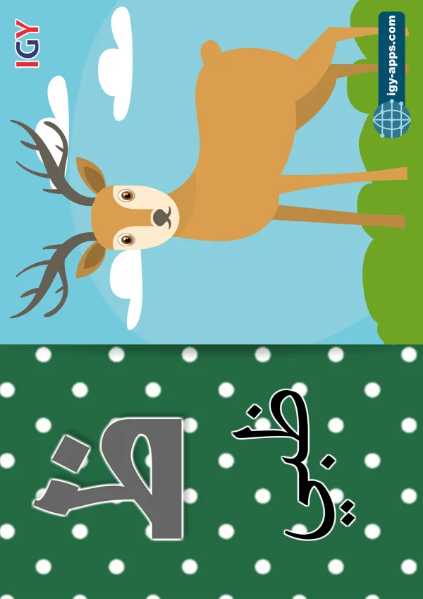 Deer — ظبي — Letter ظ