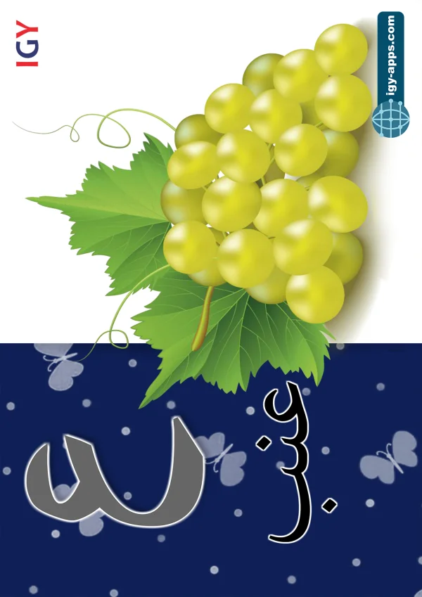 Grapes — عنب — Letter ع