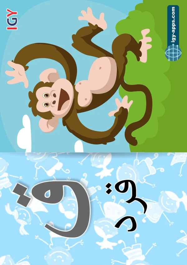 Monkey — قرد — Letter ق
