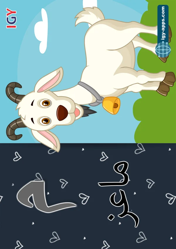 Goat — ماعز — Letter م