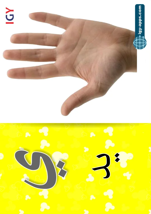 Hand — يد — Letter ي