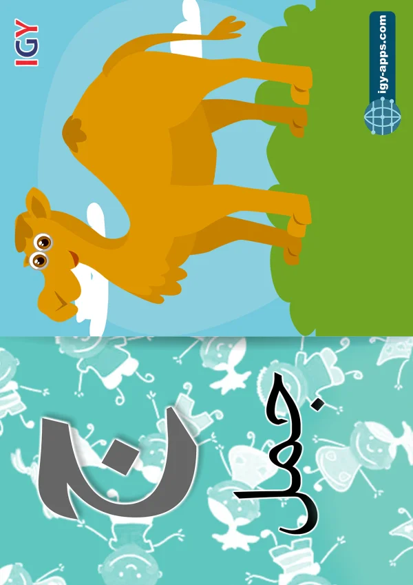 Camel — جمل — Letter ج