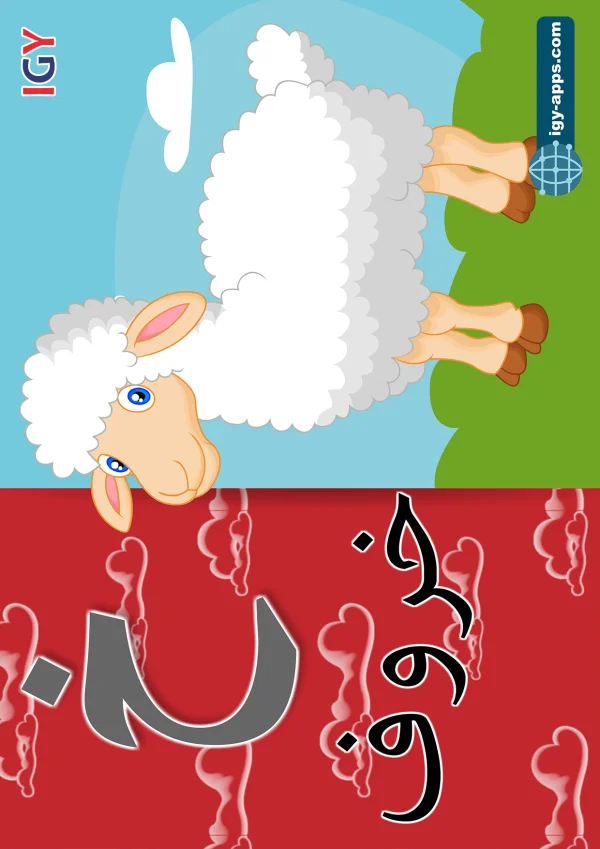 Sheep — خروف — Letter خ