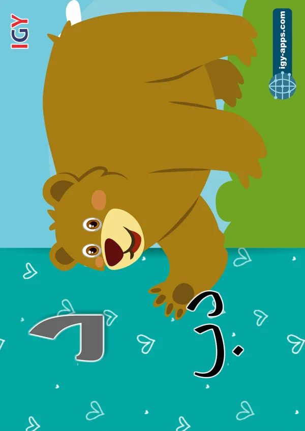 Bear — دب — Letter د
