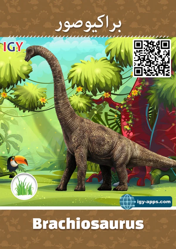 Brachiosaurus — براتشيوصور