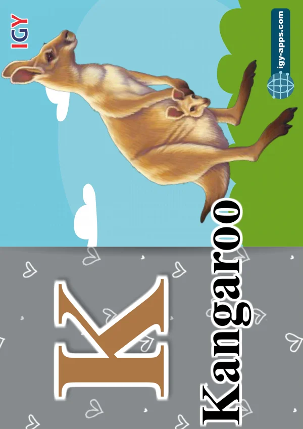 Kangaroo — كنغر — Letter K