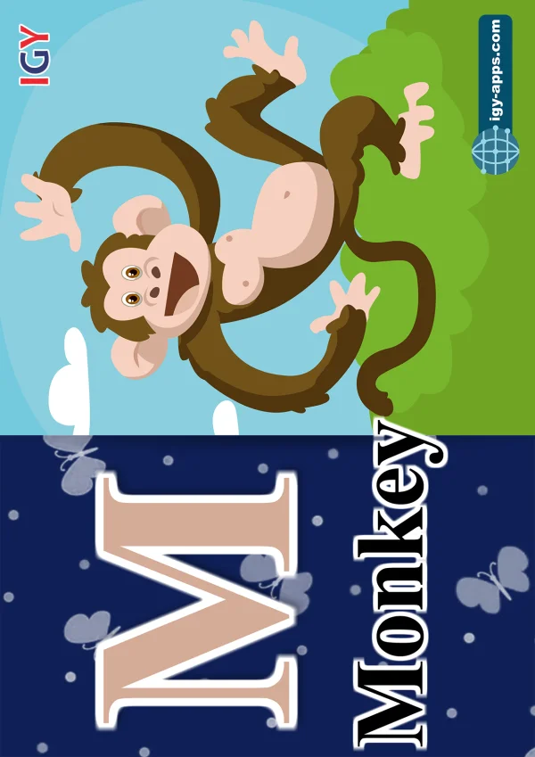 Monkey — قرد — Letter M