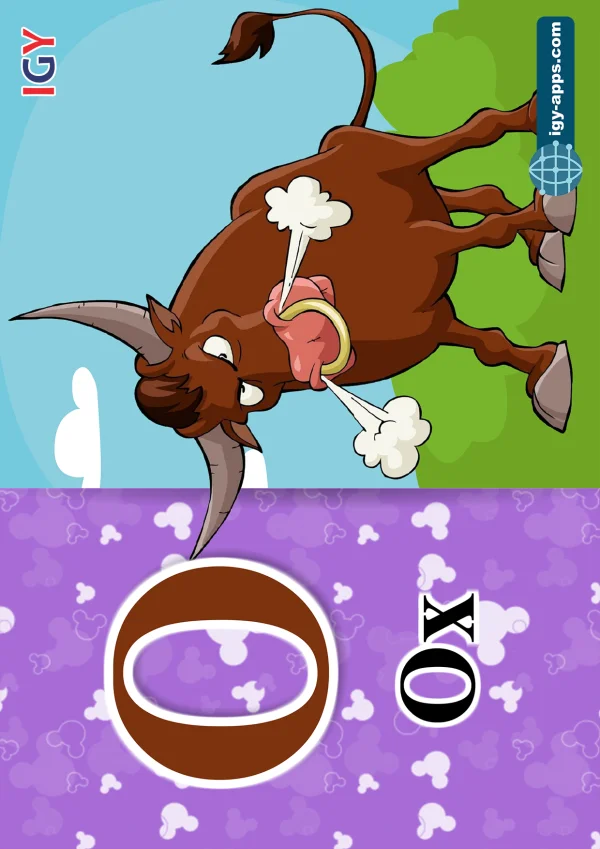 Ox — ثور — Letter O