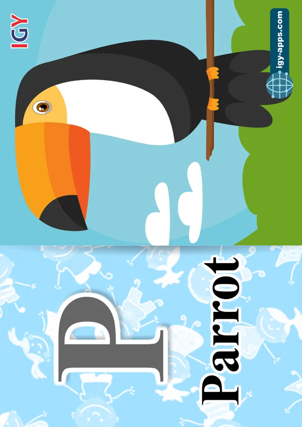 Parrot — ببغاء — Letter P