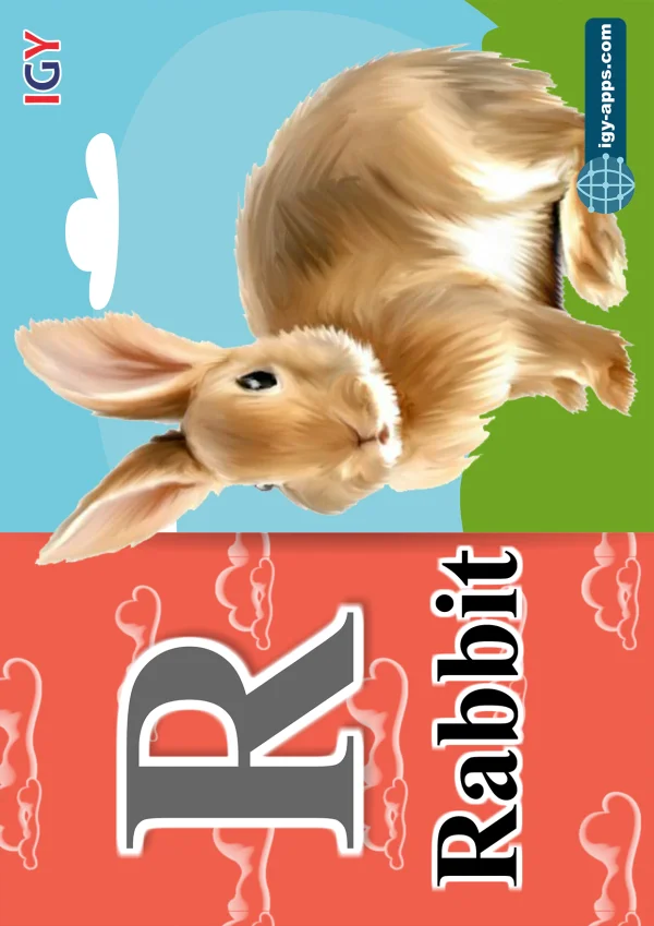 Rabbit — أرنب — Letter R
