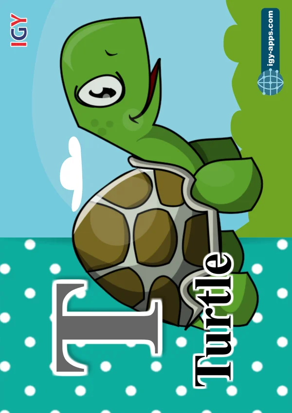 Turtle — سلحفاة — Letter T