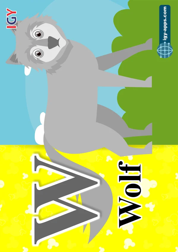 Wolf — ذئب — Letter W
