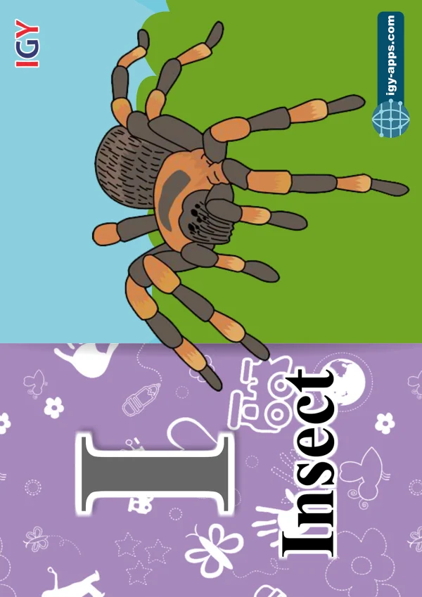 Insect — حشرة — Letter I