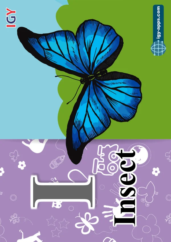 Insect — حشرة — Letter I