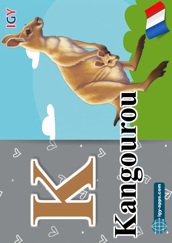 Kangaroo — كنغر — Letter K