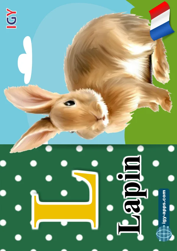 Rabbit — أرنب — Letter L