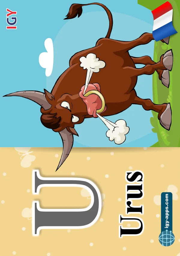 Ox — ثور — Letter U