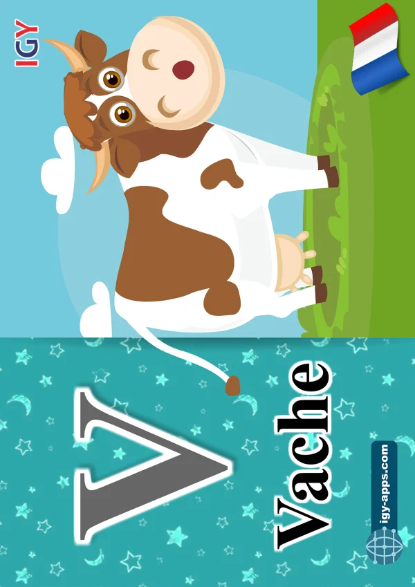 Cow — بقرة — Letter V