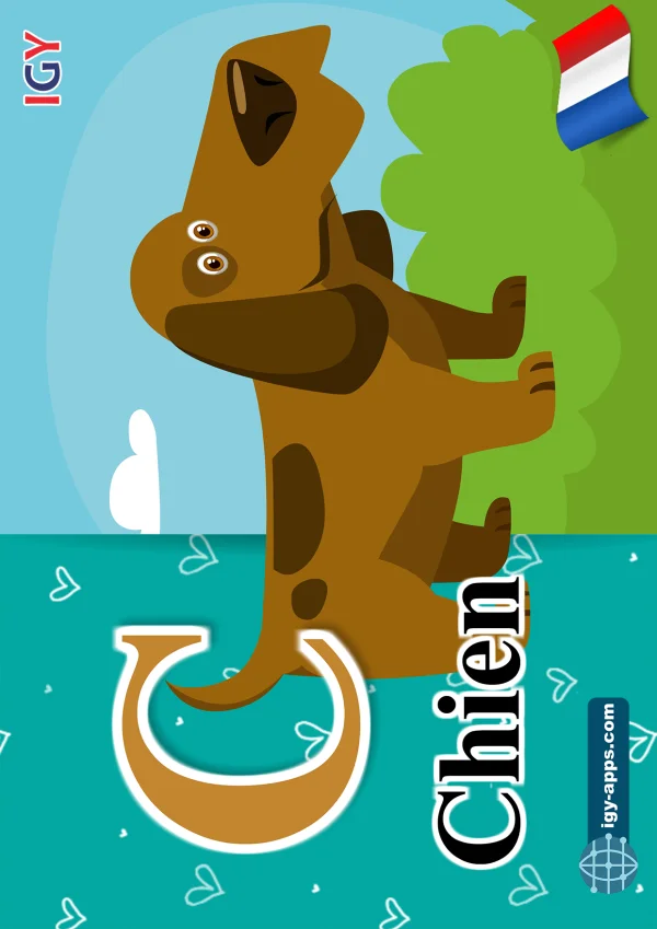 Dog — كلب — Letter C