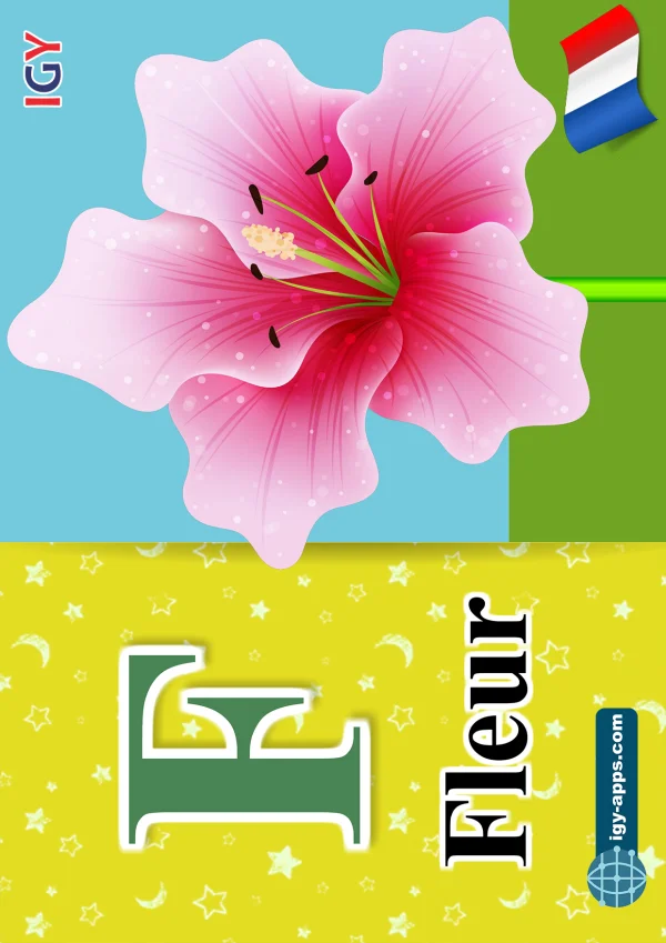 Flowers — زهرة — Letter F