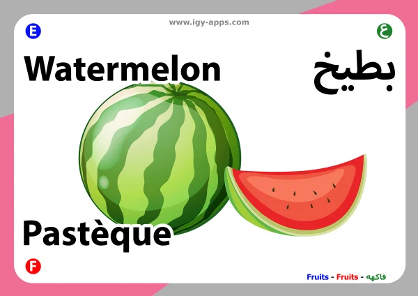 Watermelon — بطيخ