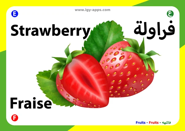 Strawberry — فراولة