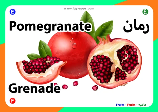 Pomegranate — رمان