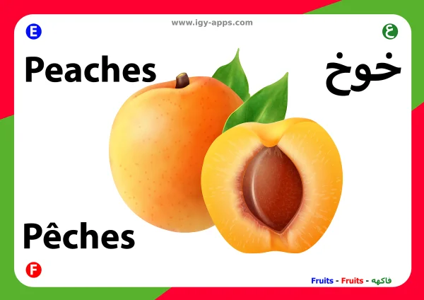 Peach — خوخ