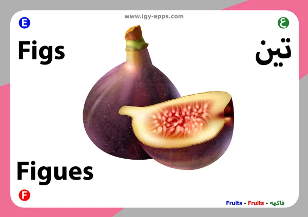 Fig — تين