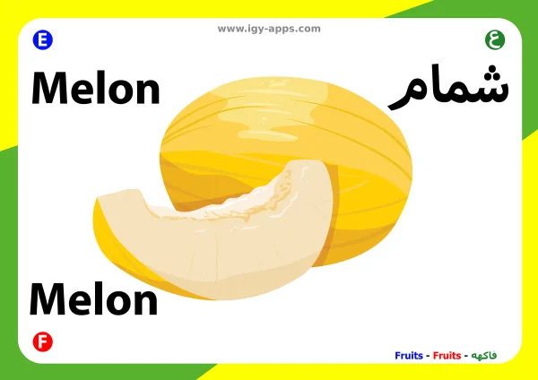 Melon — شمام