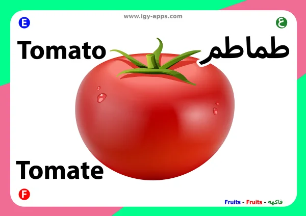Tomato — طماطم