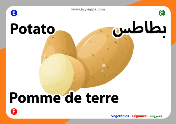 Potato — بطاطس