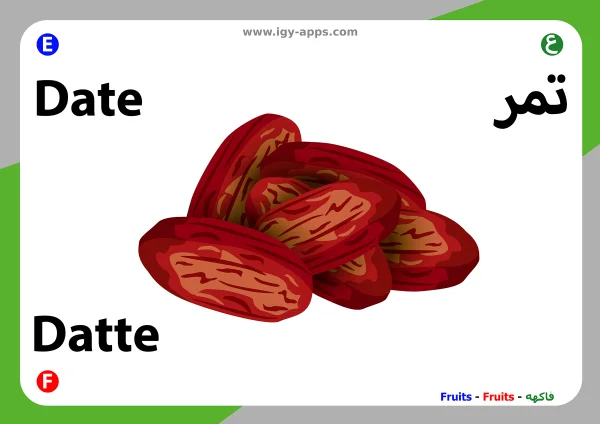 Dates — تمر