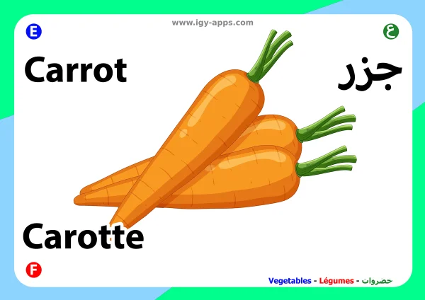 Carrot — جزر