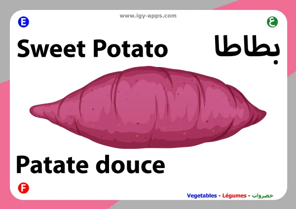 Sweet Potato — بطاطا حلوة
