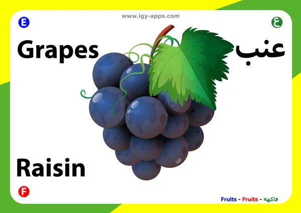 Grapes — عنب