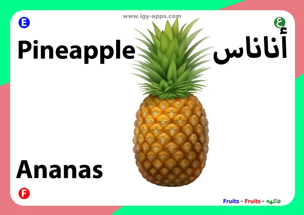 Pineapple — أناناس