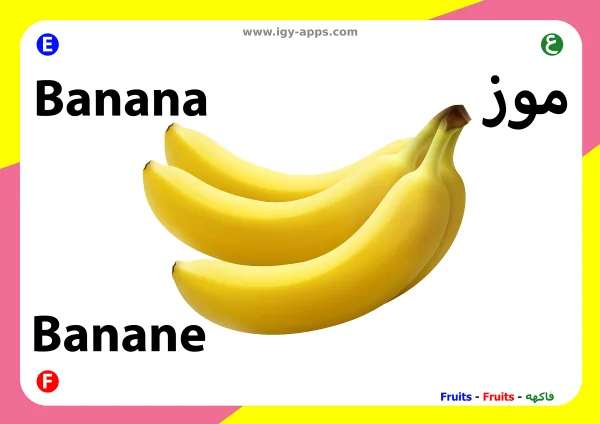 Banana — موز