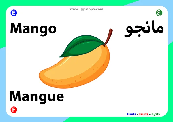 Mango — مانجو