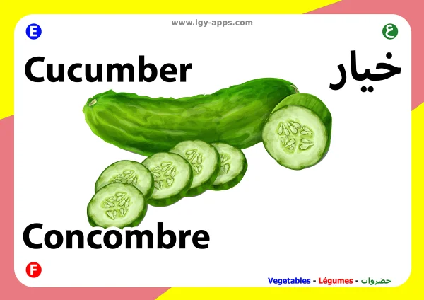 Cucumber — خيار