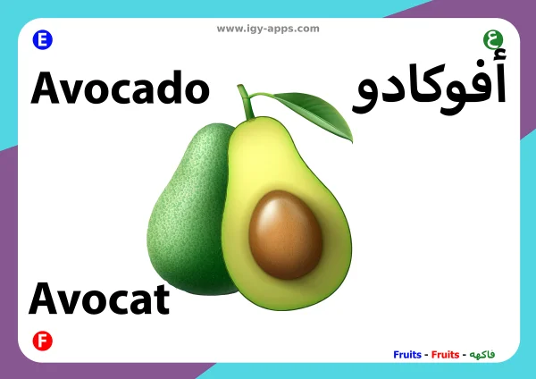 Avocado — أفوكادو