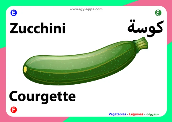 Zucchini — كوسة