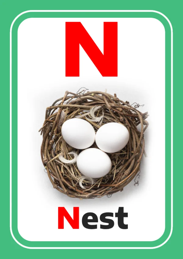 Nest — عش — Letter N